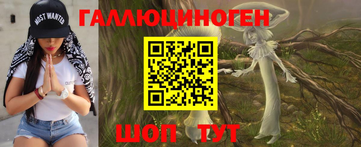 Псилоцибиновые грибы мухоморы Аша