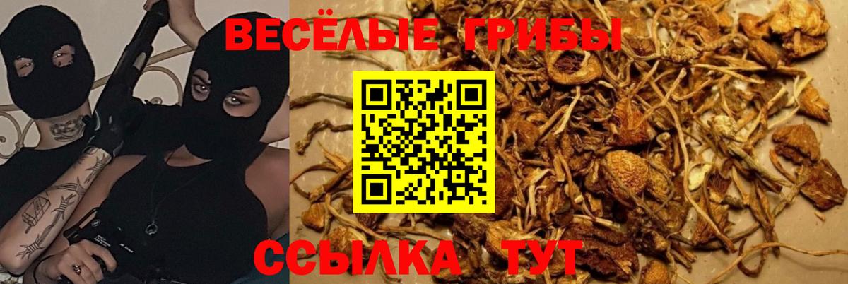 Аша  Галлюциногенные грибы мухоморы  Вход с VPN 